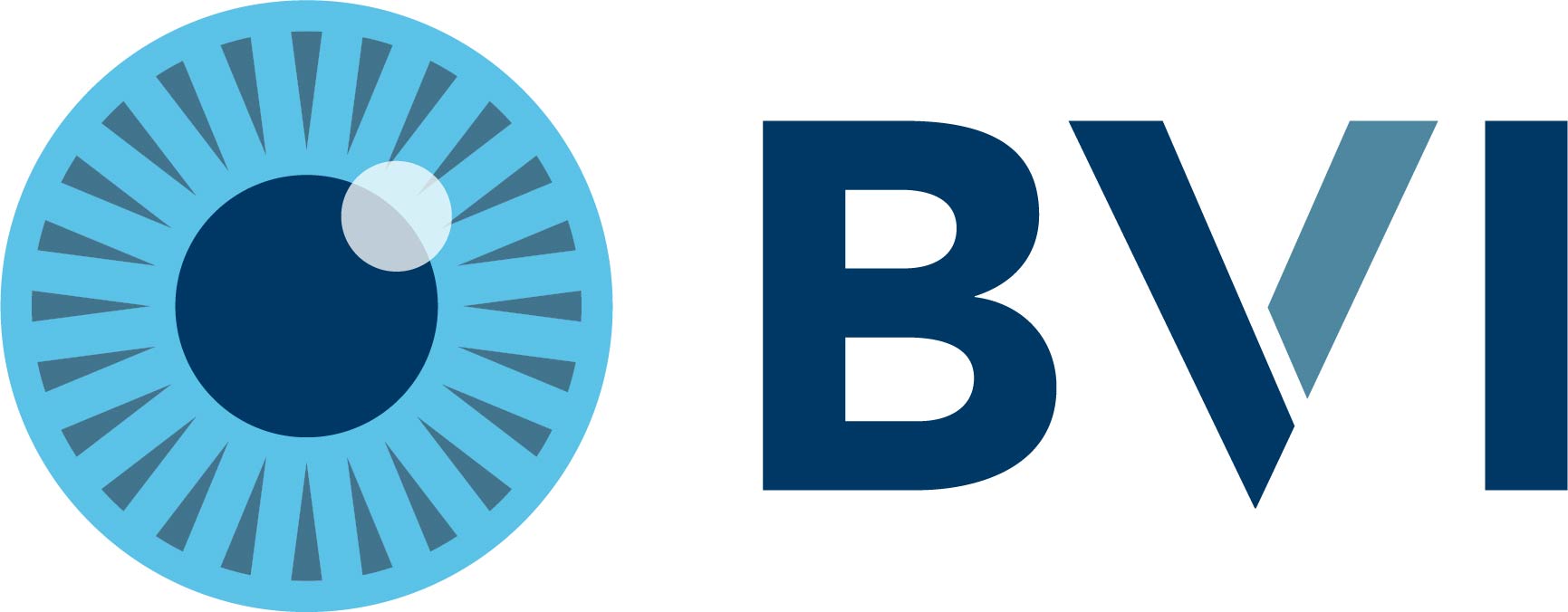 BVI Medical