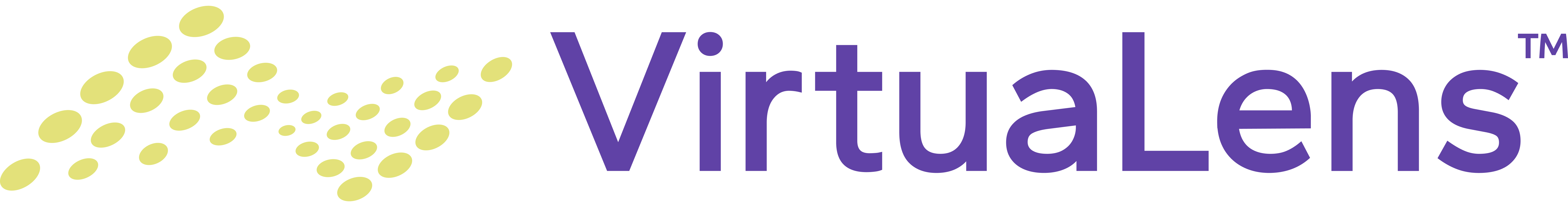 VirtuaLens