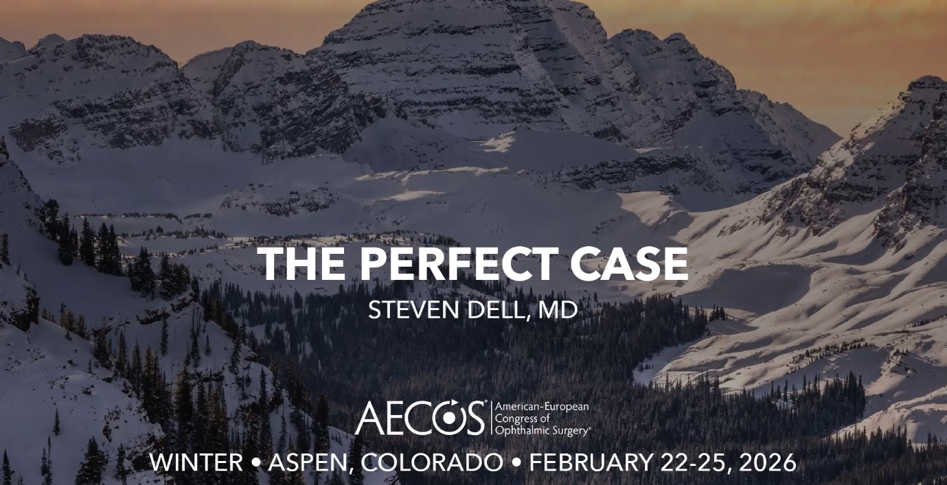 The Perfect Case