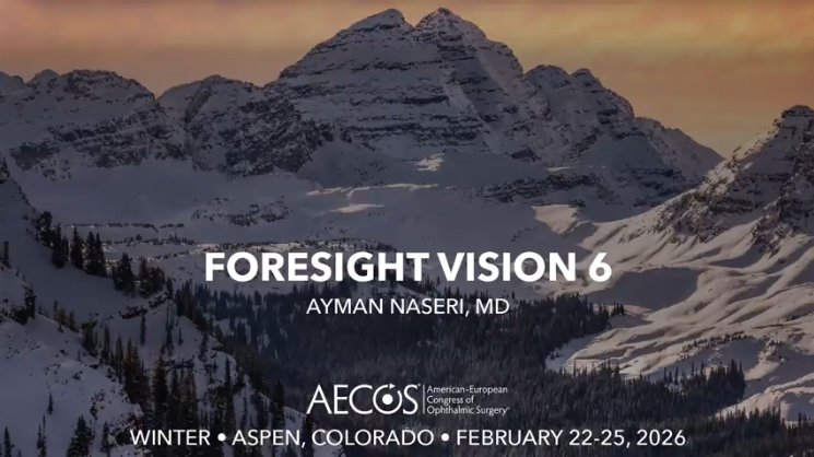 Foresight Vision 6