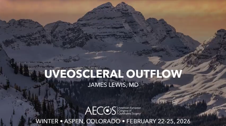 Uveoscleral Outflow