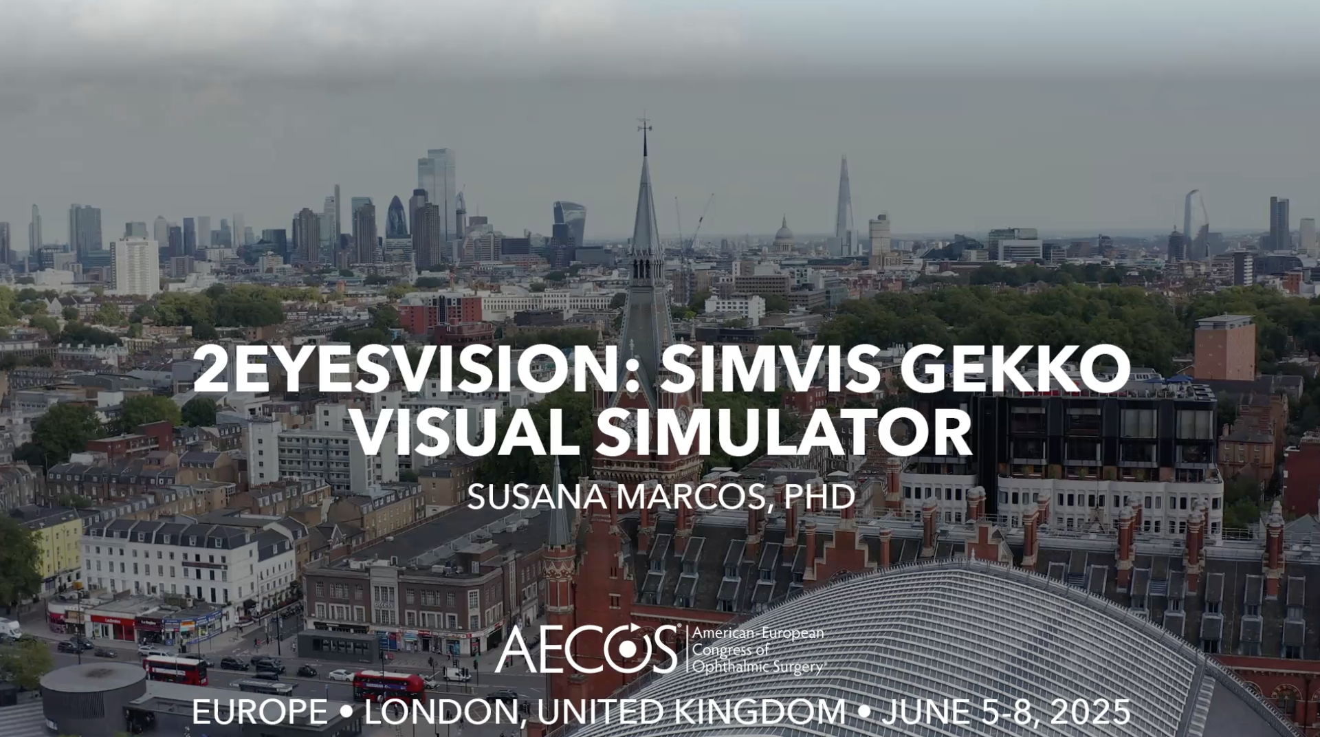2EyesVision - SimVis Gekko Visual Simulator